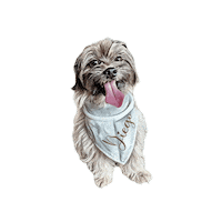 Belluccifriends Sticker by Bellucci Manila