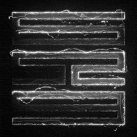 Logo Nft GIF