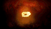 GIF by Golden State Warriors