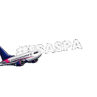 Aviacion Sticker by ASPA DE MÉXICO