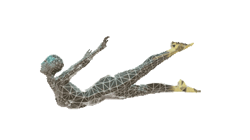 vjzotz loop 3d gold fly Sticker