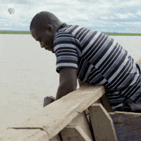 POVdocs pbs povdocs rescuelist therescuelist GIF