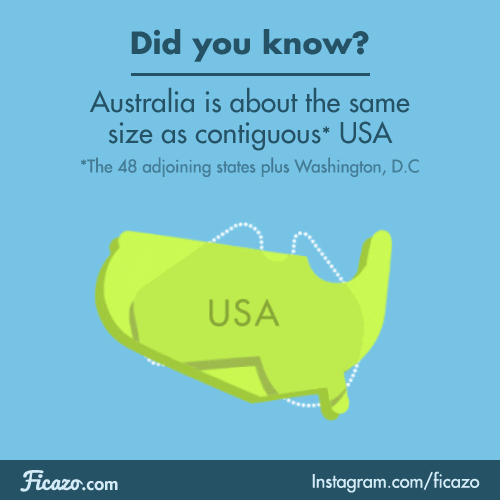 facts GIF by Ficazo