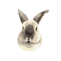 Hopstuff Sticker by Pickle's Pawtraits