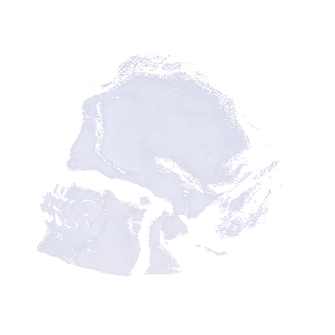 C Real Dark Sticker by C-THROUGH