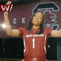 Bring It On Go Gamecocks GIF by gamecocksonline