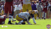 College Sports Sport GIF by LSU Tigers