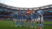Major League Soccer Sport GIF by NYCFC