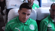 Palmeiras palmeiras joia positivo onibus GIF