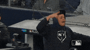Banging New York Yankees GIF by MLB