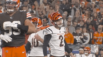 Cincinnati Bengals Football GIF by NFL