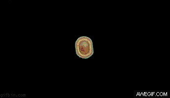 body GIF