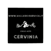 Bike Mtb Sticker by Valle Ski Service Cervinia