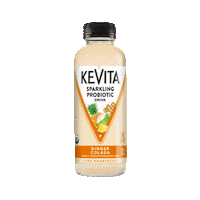 Ginger Kombucha Sticker by KeVita Drinks