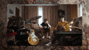 yellow flowers GIF by Alfie Templeman