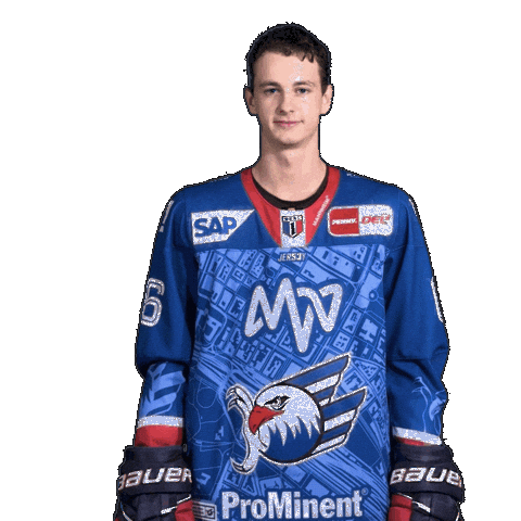 Nick Mähler Sticker by Adler Mannheim