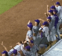 College Sports Celebration GIF by LSU Tigers