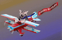 Digital art gif. A kitten sits in a stunt plane with it’s mouth open wide into a smile. Its ears and a scarf  flap in the wind. A banner attached to the plane flies behind it that says, “Happy birthday.”