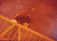 Stranger Things Steve GIF