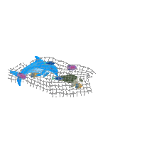 Ocean Protect Sticker by Sea Shepherd