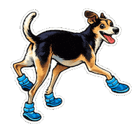 Fun Love Sticker by abana a cauda