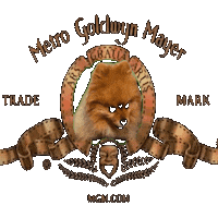 Motion Picture Cat Sticker