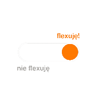 Ambasadorflex Sticker by Orange Flex