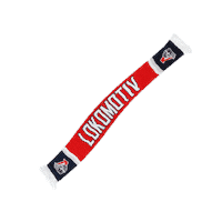Локомотив Sticker by Хоккейный клуб "ЛОКОМОТИВ"