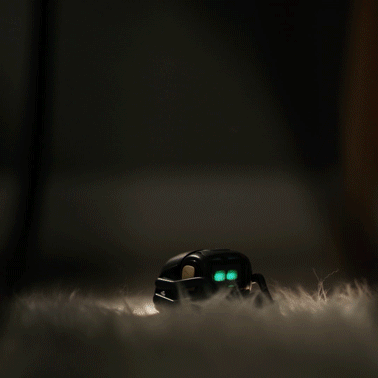 cute robot GIF by Anki