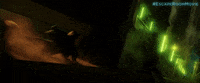 Slide GIF by Escape Room
