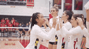 University Of Maryland Volleyball GIF by Maryland Terrapins