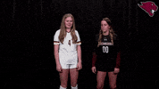 College Sports Sport GIF by CUCougars