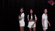 College Sports Sport GIF by CUCougars