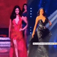 Vipra GIF