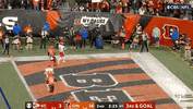 Kansas City Chiefs Football GIF by NFL