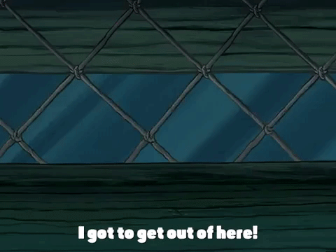 season 3 episode 20 GIF by SpongeBob SquarePants