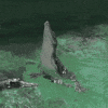 Flying Slow Motion GIF by Digg