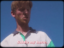 Saddle My Horse
