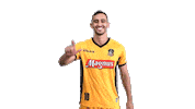 Kevin Fred Sticker by QualidyOficial