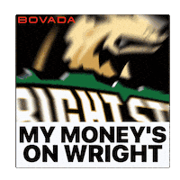 Wright State Raiders Sticker by Bovada