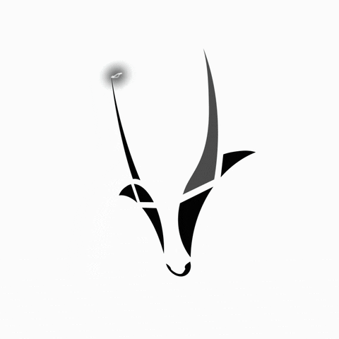 Antelope Excite GIF by Spryker