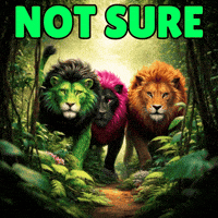 Fantasy What GIF