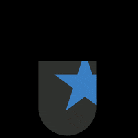 Vote Voting GIF by Atlanta Dream