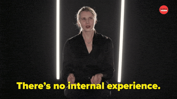 There's No Internal Experience