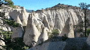 new mexico GIF