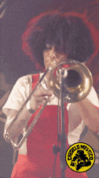 Coco Nordeste GIF by Caboclo Mestiço