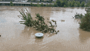 MFDtheArtist houston flood harvey GIF