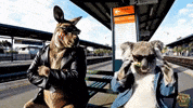 Kk Fighting GIF