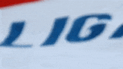 flag bandera GIF by LDU_Oficial