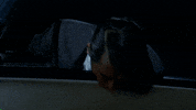 alfred hitchcock GIF by Maudit